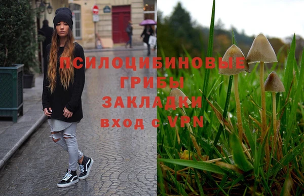 марки nbome Белокуриха