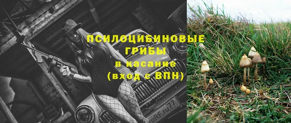 марки nbome Белокуриха