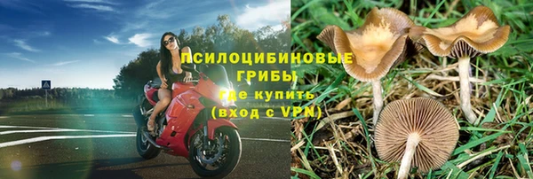 марки nbome Белокуриха