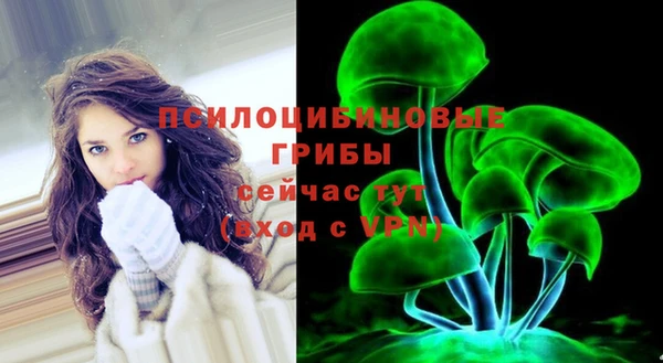марки nbome Белокуриха